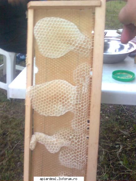 jurnal apicol trei ani urmaresc atentie calitatea fagurilor piata romaneasca cei mai slabi calitativ