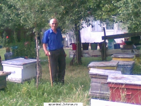 jurnal apicol zona mea precum restul tarii sunt multe stupini cale disparitie multi apicultori