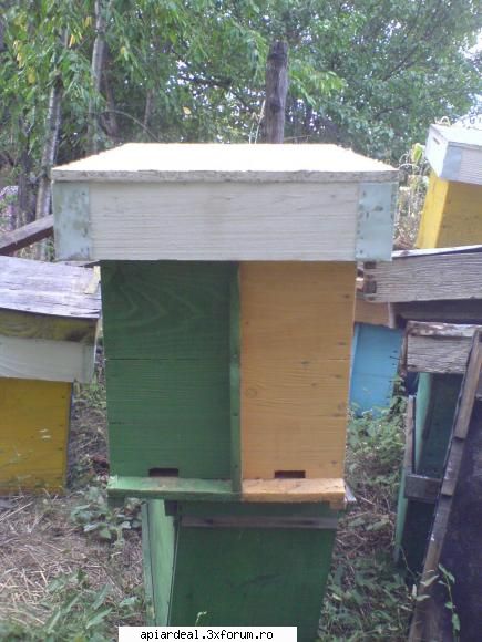 jurnal apicol fost tata dragos stupina ne-a aratat familiile albine, utilajele extractie, diferite