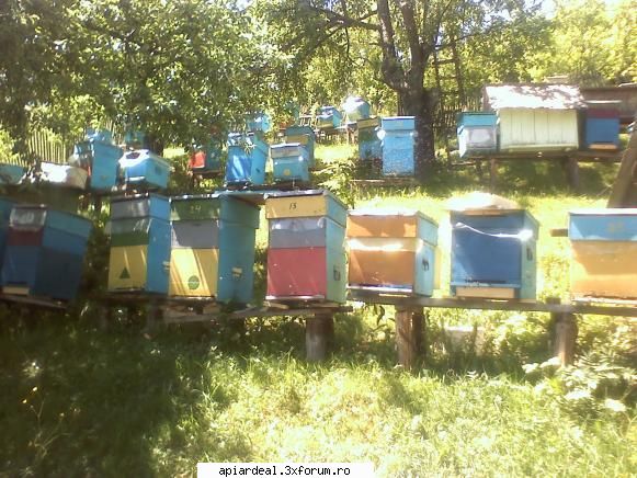 vand familii albine sunt din neamt familiile respective pot alege dintr-o stupina familii 0745 555